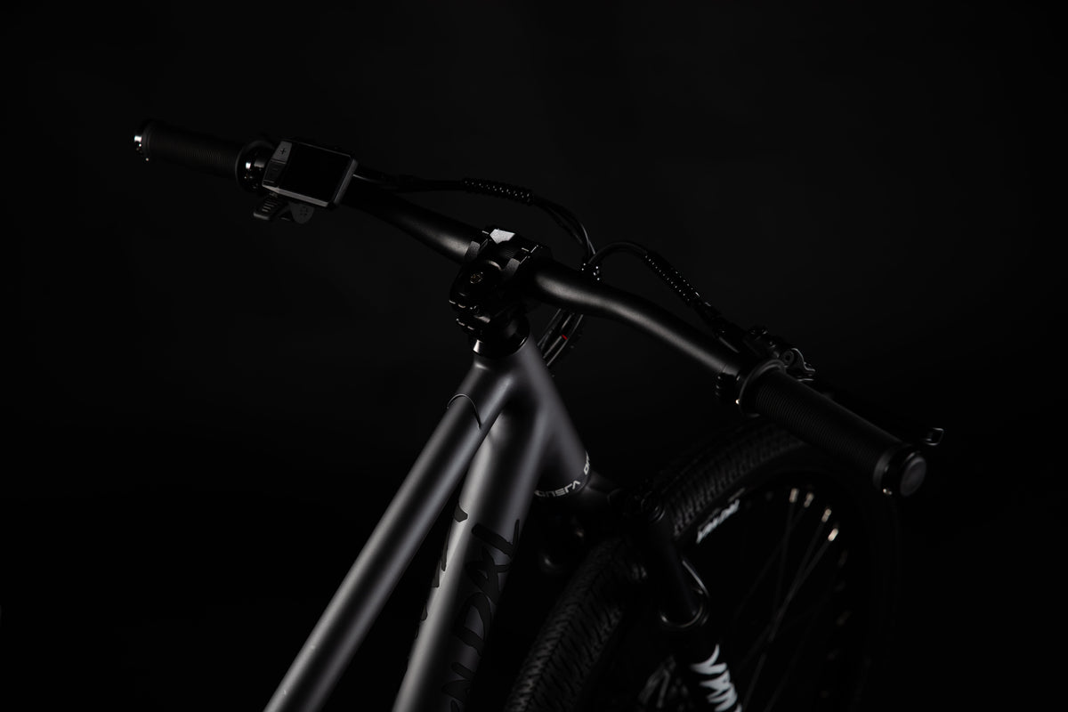 ONSRA VANDAL e-bike photo