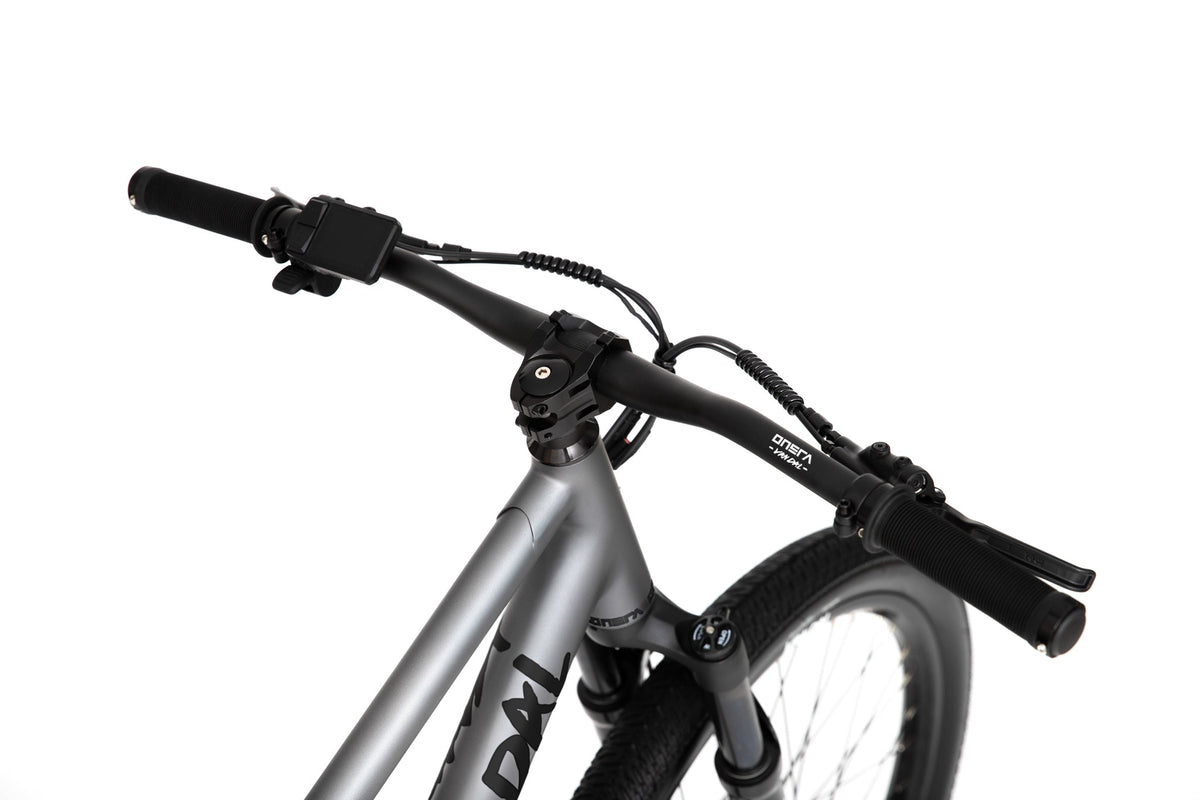 ONSRA VANDAL e-bike photo