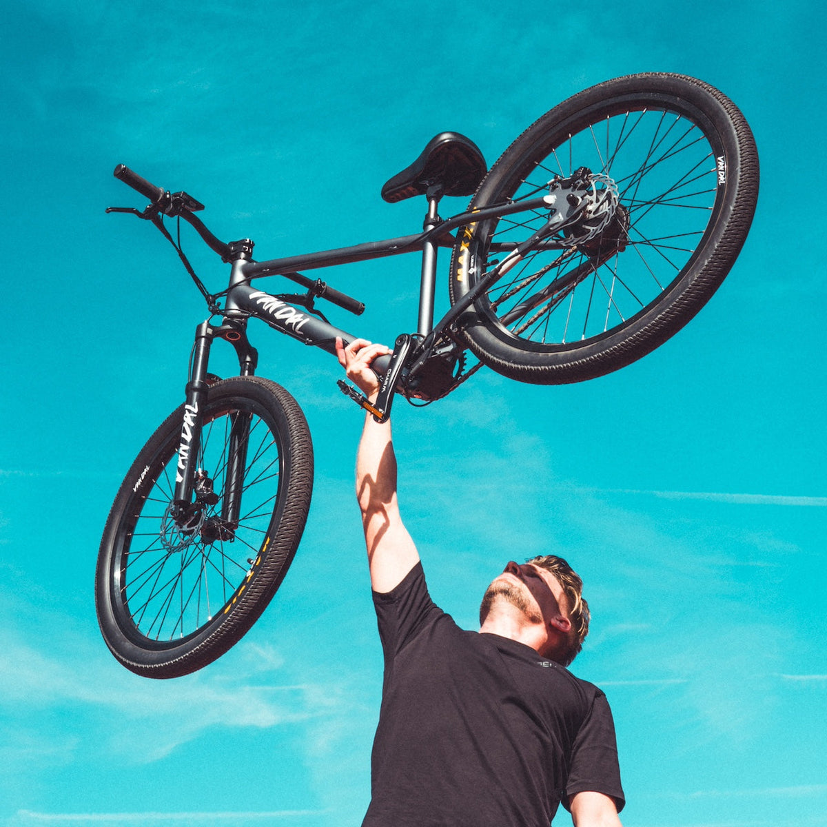 ONSRA VANDAL e-bike photo